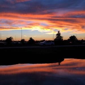 Meet your Posher, Angelina